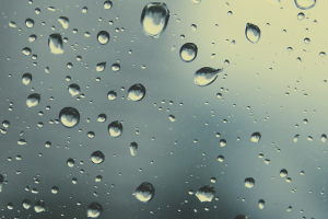  Как да се отървете от излишната влага в къщата