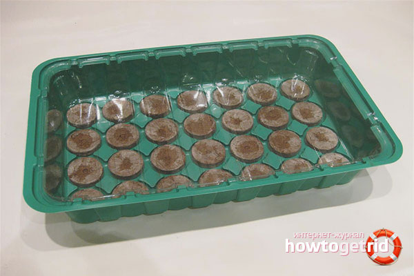 Как да използвате таблетки с торф