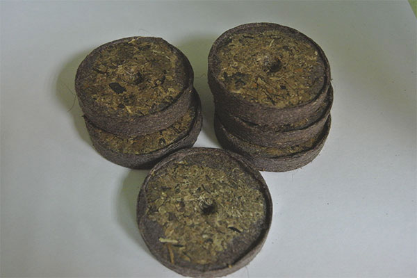 Как да отглеждаме посадъчен материал в торфени таблетки