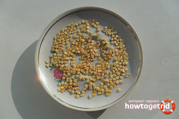 Избор на семена