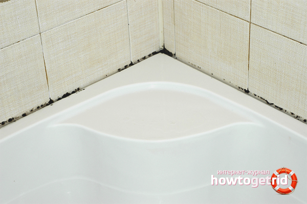 Начало средства за плесени