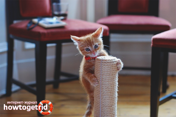 надраскване мнения