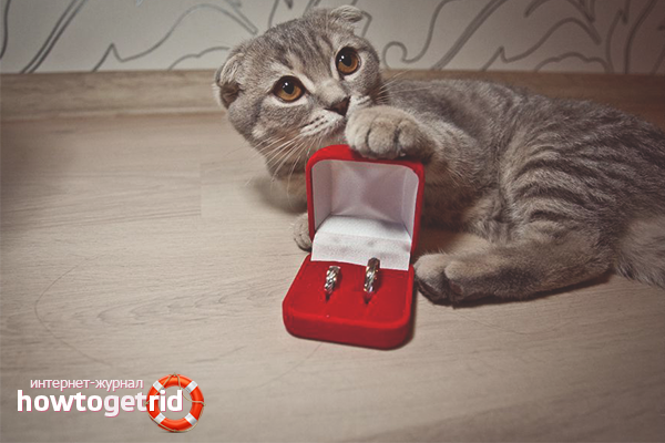 Предложение за брак