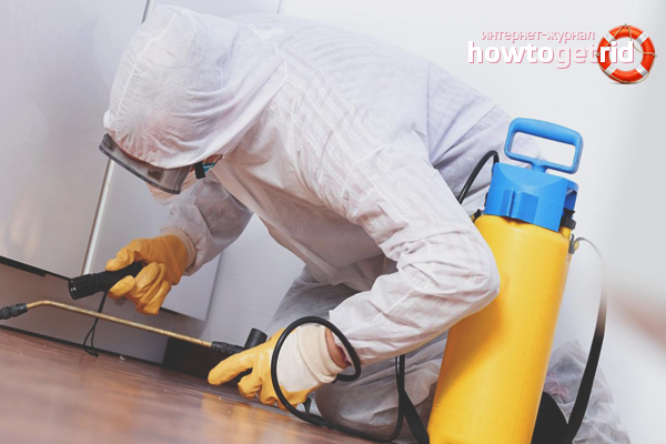 Професионална дезинфекция на помещението