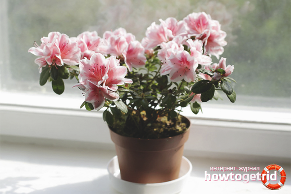 Азалиевото осветление