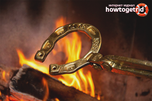 At nalı nasıl hazırlanır