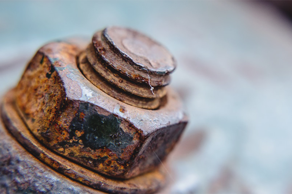 Как да развиете ръждясалия орех