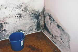  Как да се отървем от плесен на балкона