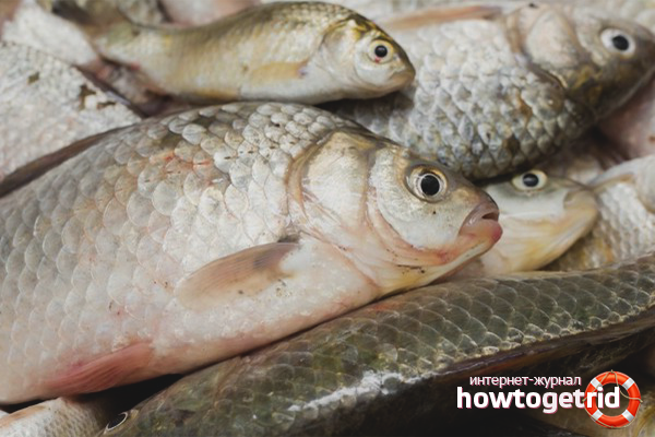 Ефективни начини за размразяване на рибата