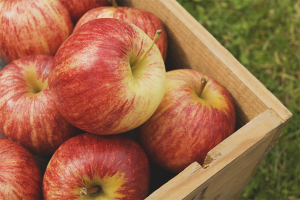  Съхранение на Apple