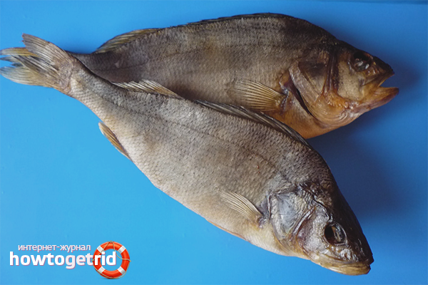 Как да изсъхне рибата