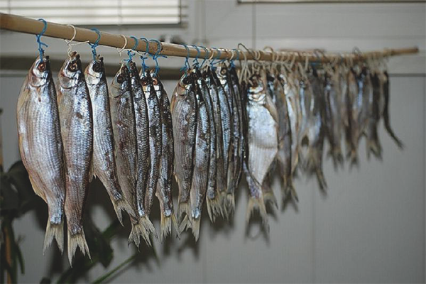 Как да се сблъскате с риба