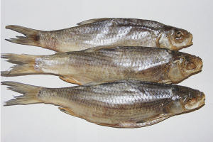  Как да съхранявате сухата риба