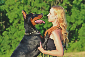  Как да разубеждаваме кучето да скочи върху собственика