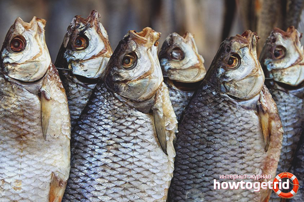 Как да се съхранява суха и сушена риба
