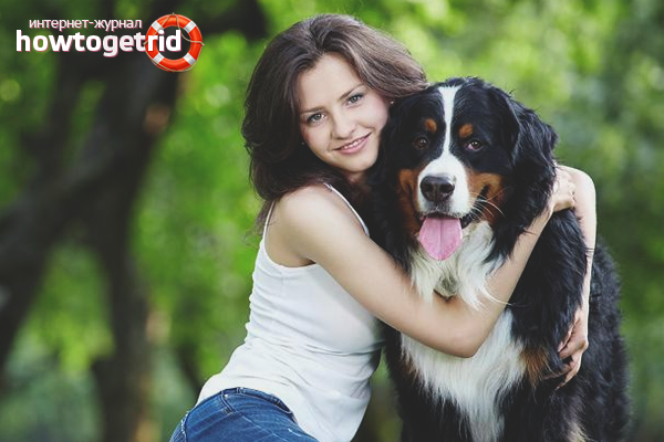 Животно от самота