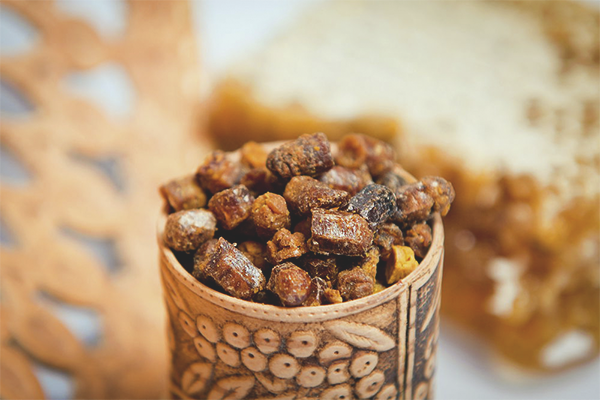 Как да съхраняваме пергу