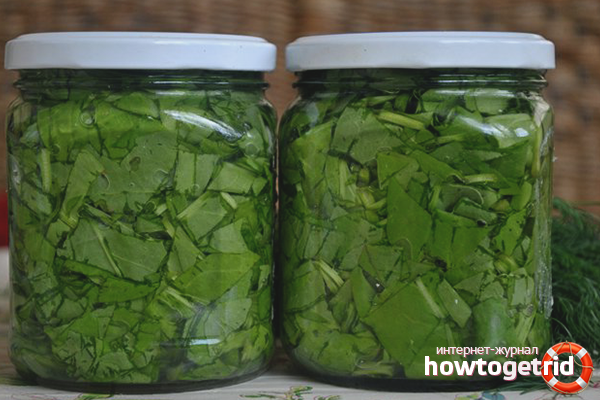 Консервиран киселец