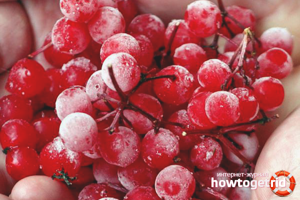 Замразяване на вибрина