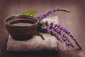  Как да вземем градински чай за зачеване