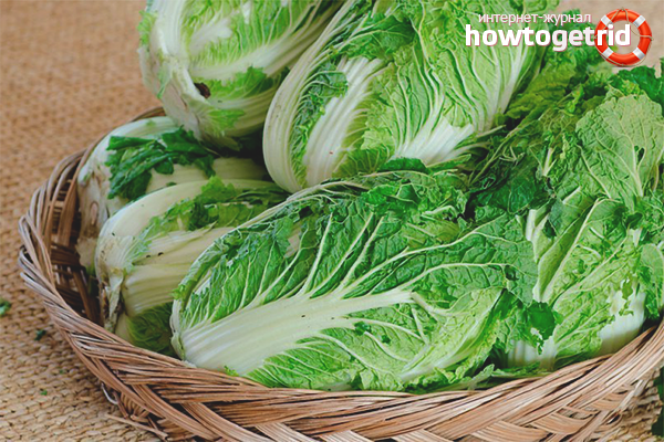 Ползите от китайската салата за бременни момичета