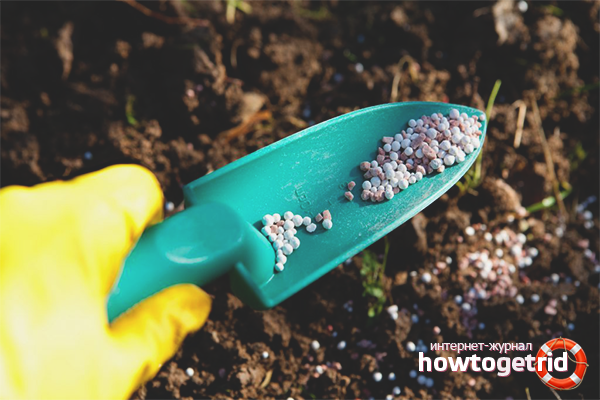 Минерален фураж за ягоди