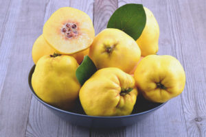  Дюля по време на бременност