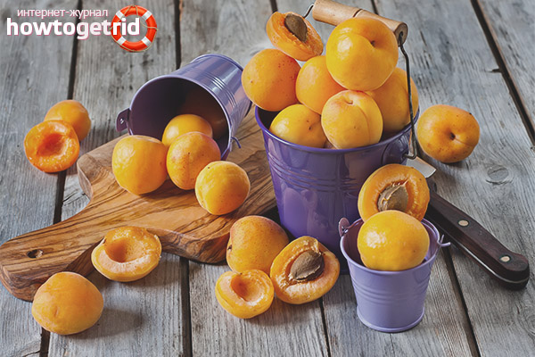 Каква кайсия третира