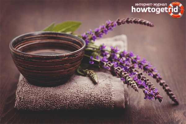 Полезни рецепти за салата