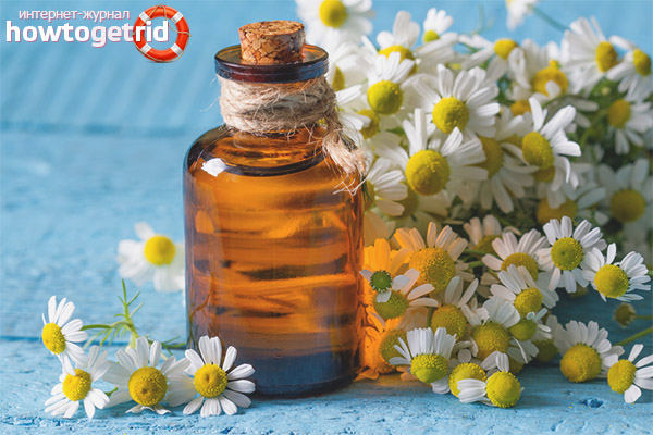 Рецепти на базата на лайка