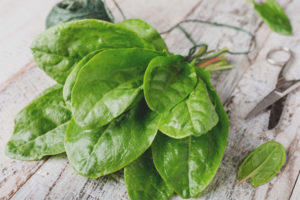  Шорел по време на бременност