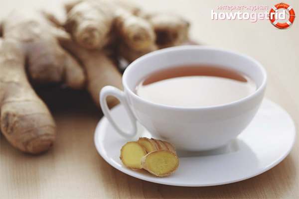 Джинджифил кашлица