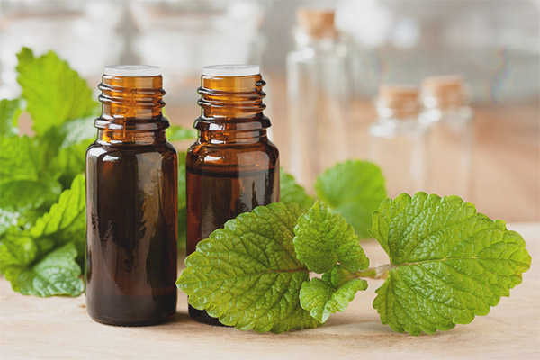 Мелиса Етерично масло