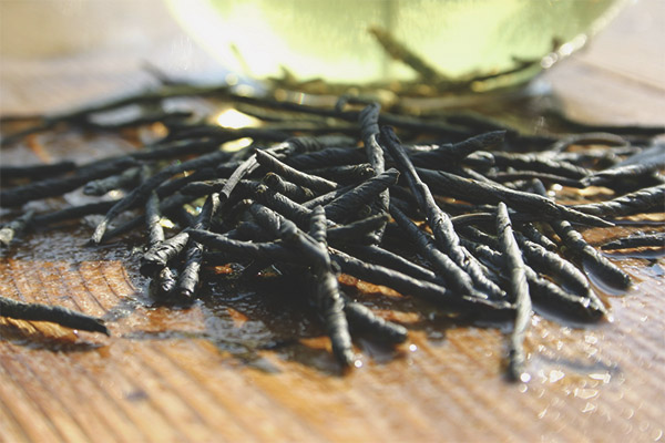 Как да се варят и пият чай кудин