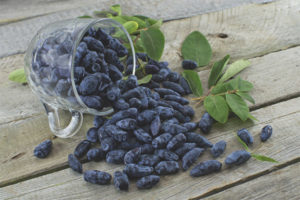  Орлови нокти по време на бременност