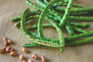  Фасул с диабет