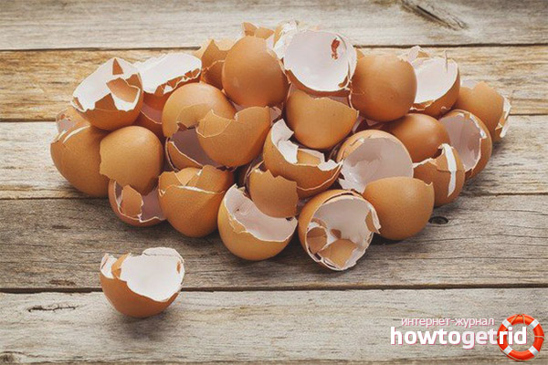 Яйца по време на бременност