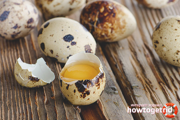 Птичи яйца по време на бременност