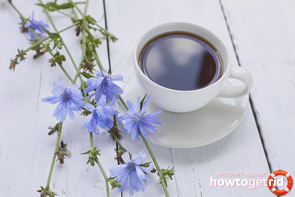 Внимание при употребата на цикория