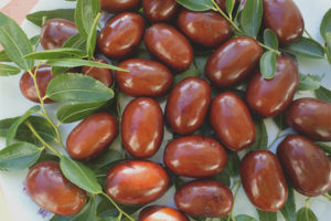  Полезни свойства и противопоказания на unabi