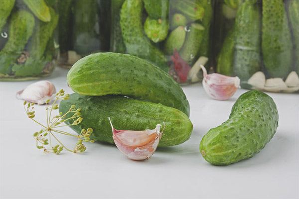 Краставици с диабет