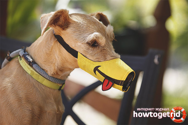 Мънички за плат