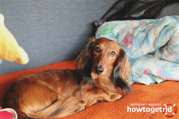 Грижа за косата