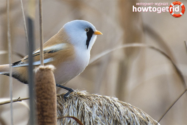 Хубатно местонахождение