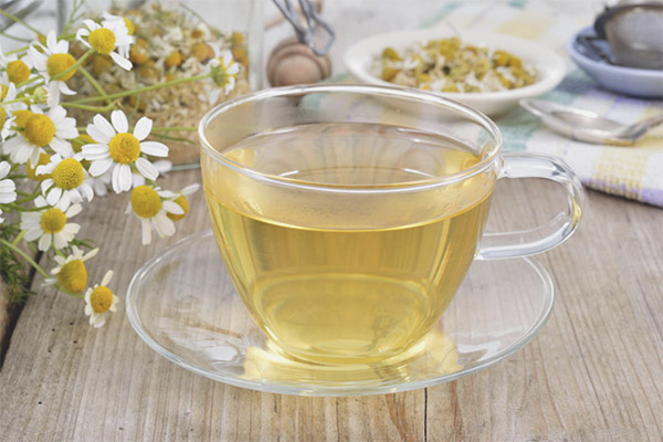 Как е полезен чайът от лайка?