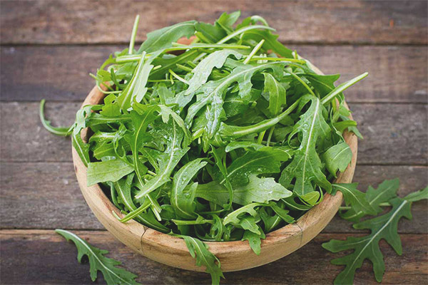 Как да спасим рукола за зимата