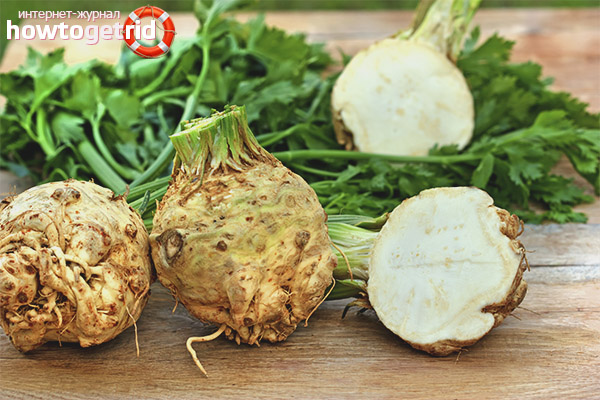 Как сушени корен целина