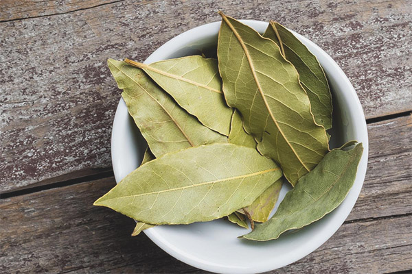 Захарно листо с диабет