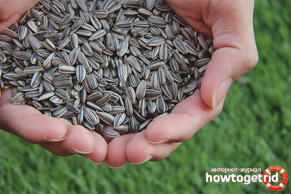 Дни на глада и монодити върху семената