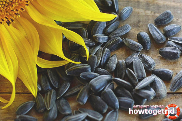 Допускат ли семена за отслабване?